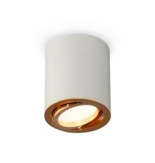 Потолочный светильник Ambrella Light Techno Spot XS7423022 (C7423, N7004)