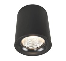 Потолочный светодиодный светильник Arte Lamp Facile A5118PL-1BK