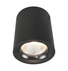 Потолочный светодиодный светильник Arte Lamp Facile A5118PL-1BK