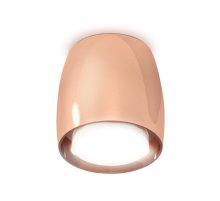 Потолочный светильник Ambrella Light Techno Spot XS1144020 (C1144, N7165)