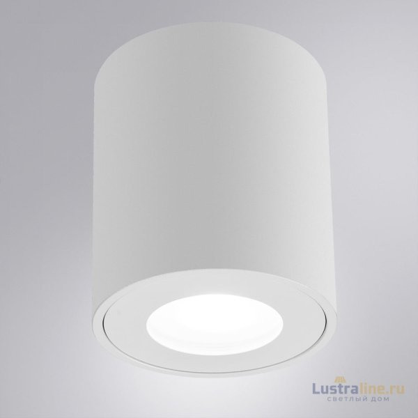 Накладной светильники Arte Lamp Tino A1469PL-1WH