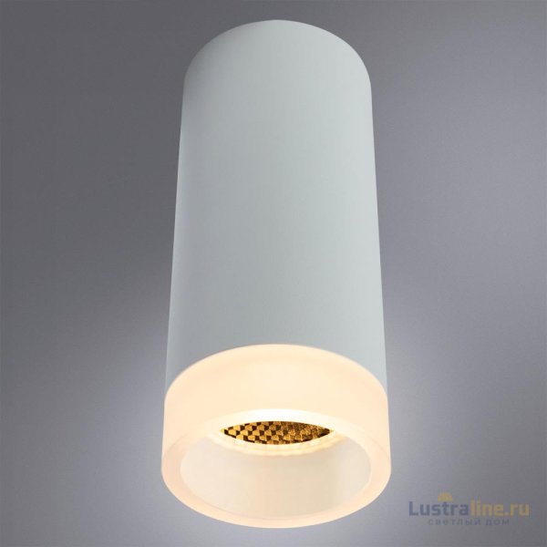 Накладной светильник Arte Lamp Ogma A5556PL-1WH