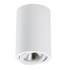 Накладной светильник Lightstar Rullo 214406