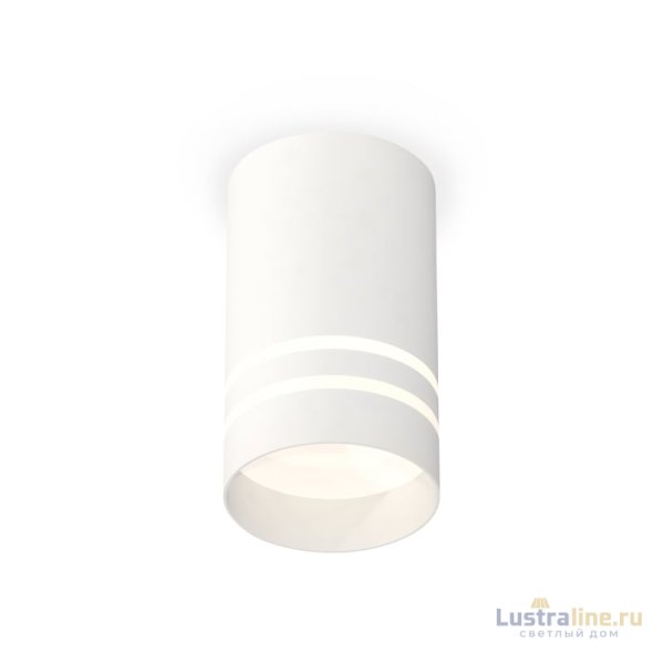 Потолочный светильник Ambrella Light Techno Spot XS7421022 (C7421, N7141)