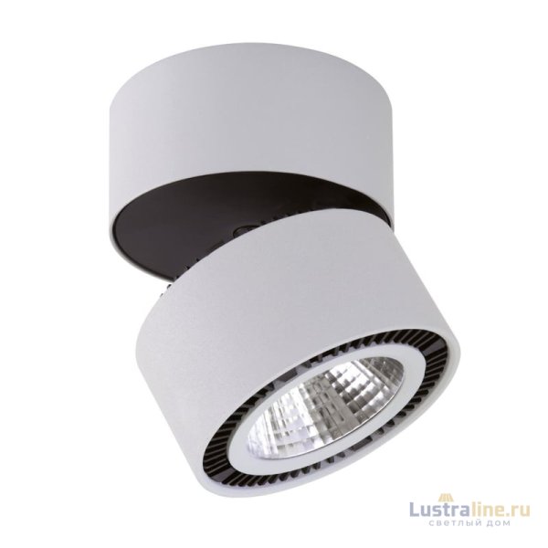 Потолочный светодиодный светильник Lightstar Forte Muro 214830 Потолочный светодиодный светильник Lightstar Forte Muro 214830