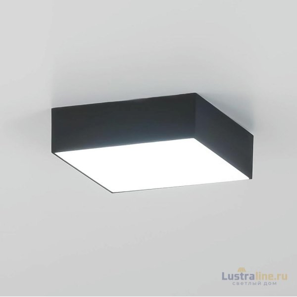 Накладной светильник Citilux Тао CL712X122N