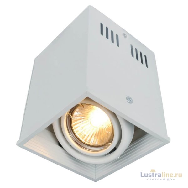 Потолочный светильник Arte Lamp Cardani A5942PL-1WH Потолочный светильник Arte Lamp Cardani A5942PL-1WH