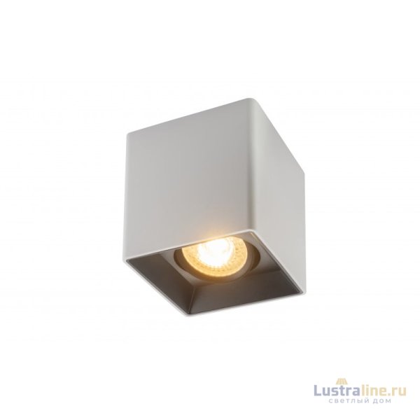 Накладной светильник Denkirs Dk3030 DK3030-WB