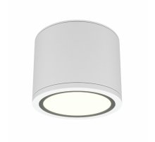 Накладной светильник Maytoni Rendo C095CL-GX53-W