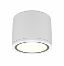 Накладной светильник Maytoni Rendo C095CL-GX53-W
