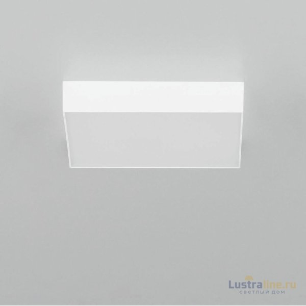 Накладной светодиодный светильник Citilux Тао CL712X240N