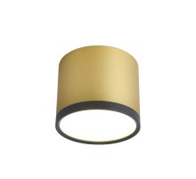 Накладной светильник Favourite Baral 3082-2C