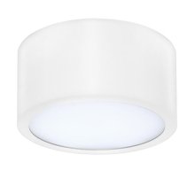 Потолочный светодиодный светильник Lightstar Zolla 213916