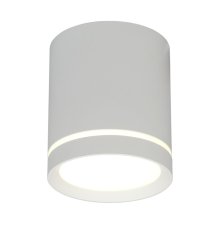 Накладной светильник Omnilux Capurso OML-102429-05