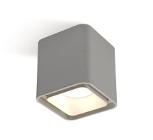 Накладной светильник Ambrella Light Techno XS7842001 (C7842, N7701)