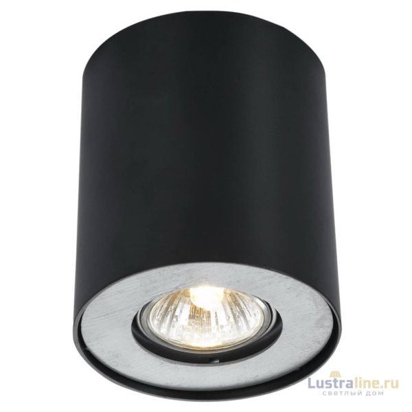 Потолочный светильник Arte Lamp Falcon A5633PL-1BK