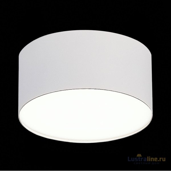 Накладной светильник ST Luce ST606.542.12 Накладной светильник ST Luce ST606.542.12