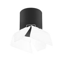 Накладной светильник Lightstar Rullo (213487+202486) R3487486