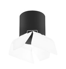 Накладной светильник Lightstar Rullo (213487+202486) R3487486