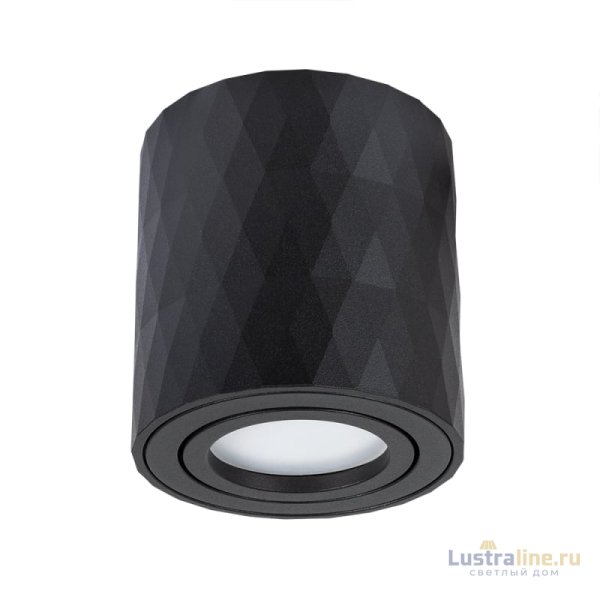 Накладной светильник Arte Lamp Fang A5559PL-1BK