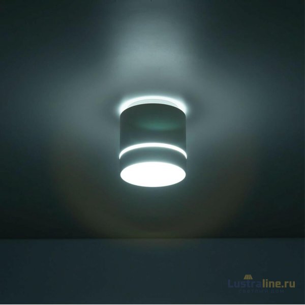 Накладной светильник Citilux Борн CL745020N