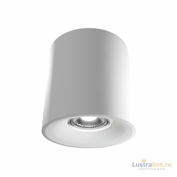 Накладной светильник Lightera Shamrock LE201CL-1WB