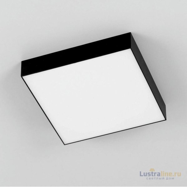 Накладной светодиодный светильник Citilux Тао CL712X242N