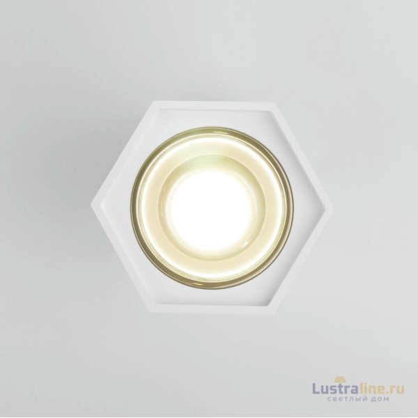 Накладной светодиодный светильник Elektrostandard 25036/LED 4690389176487