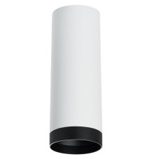 Накладной светильник Lightstar Rullo R4863437 (214486+203437)