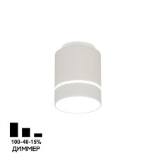 Накладной светильник Citilux Борн CL745020N