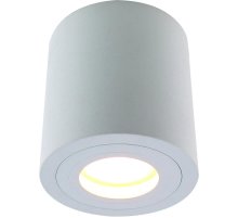 Потолочный светильник Divinare Galopin 1460/03 PL-1