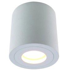 Потолочный светильник Divinare Galopin 1460/03 PL-1