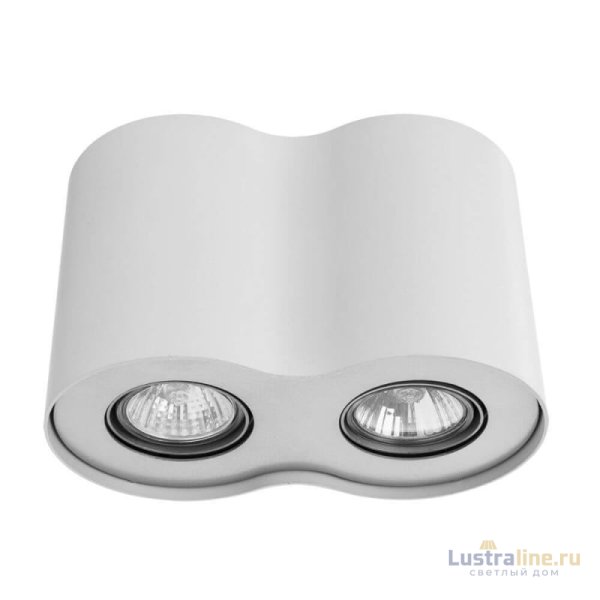 Потолочный светильник Arte Lamp Falcon A5633PL-2WH