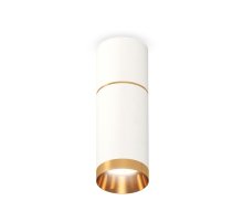 Потолочный светильник Ambrella Light Techno Spot XS6322062 (C6301, A2062, C6322, N6134)