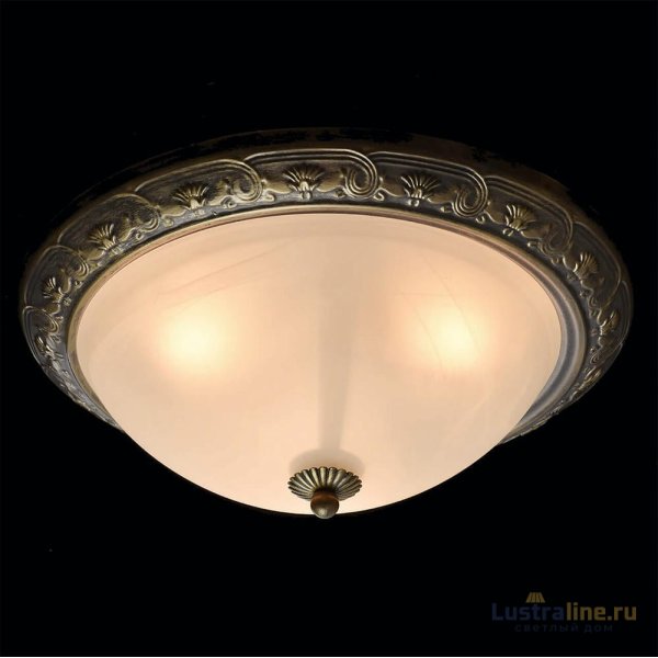 Потолочный светильник MW-Light Ариадна 450015703