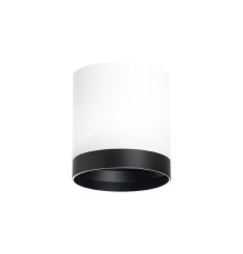 Накладной светильник Lightstar Rullo (213486+203487) R34863487