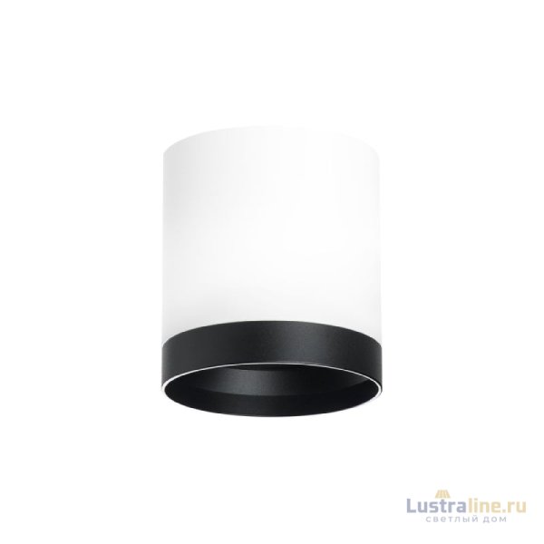 Накладной светильник Lightstar Rullo (213486+203487) R34863487 Накладной светильник Lightstar Rullo (213486+203487) R34863487