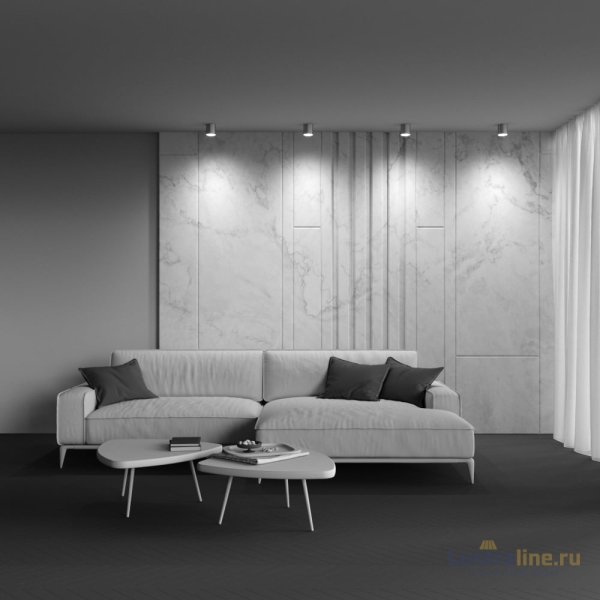 Накладной светильник Maytoni Polar C088CL-GX53-S