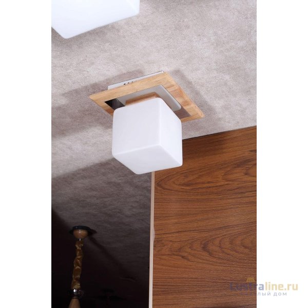 Потолочный светильник Lucia Tucci Natura 073.1 LED