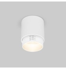 Накладной светильник Elektrostandard Cors 4690389192173 a062385