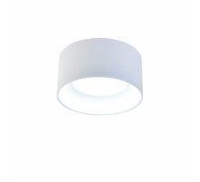 Накладной светильник Favourite Rout 4211-1C