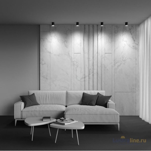 Накладной светильник Maytoni Polar C088CL-GX53-B