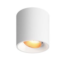 Накладной светильник Denkirs Dk3040 DK3090-WBR