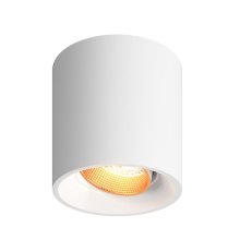 Накладной светильник Denkirs Dk3040 DK3090-WBR