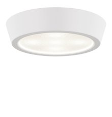 Потолочный светодиодный светильник Lightstar Urbano 214904