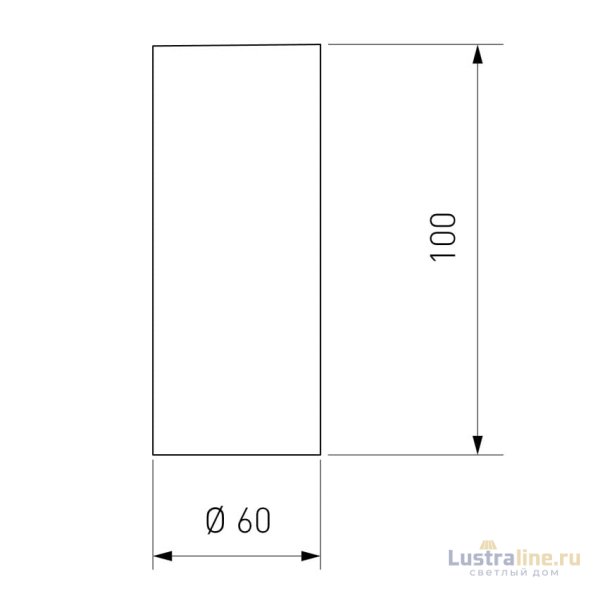 Накладной светильник Elektrostandard DLS025 4690389169786