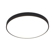 Потолочный светодиодный светильник Arte Lamp Arena A2673PL-1BK