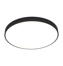 Потолочный светодиодный светильник Arte Lamp Arena A2673PL-1BK