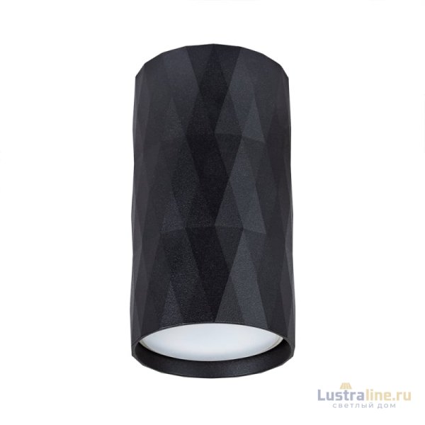 Накладной светильник Arte Lamp Fang A5557PL-1BK