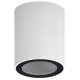 Накладной светильник Эра OL48 WH/BK Б0059799
